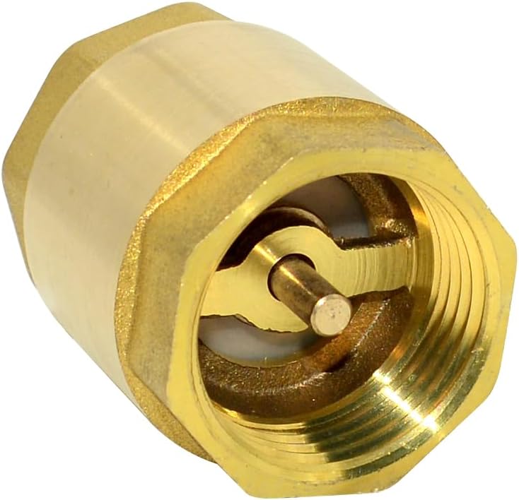 DAN SPEED Brass Check Valve,Female Thread Spring Check Valve,One Way Horizontal Check Valves for Backflow Prevention,Well, Pump, Tank ((DN25) 1'') - Image 1